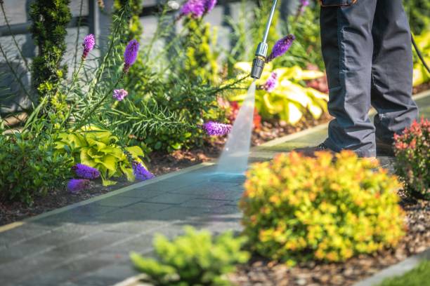  Rustburg, VA Pressure Washing Pros
